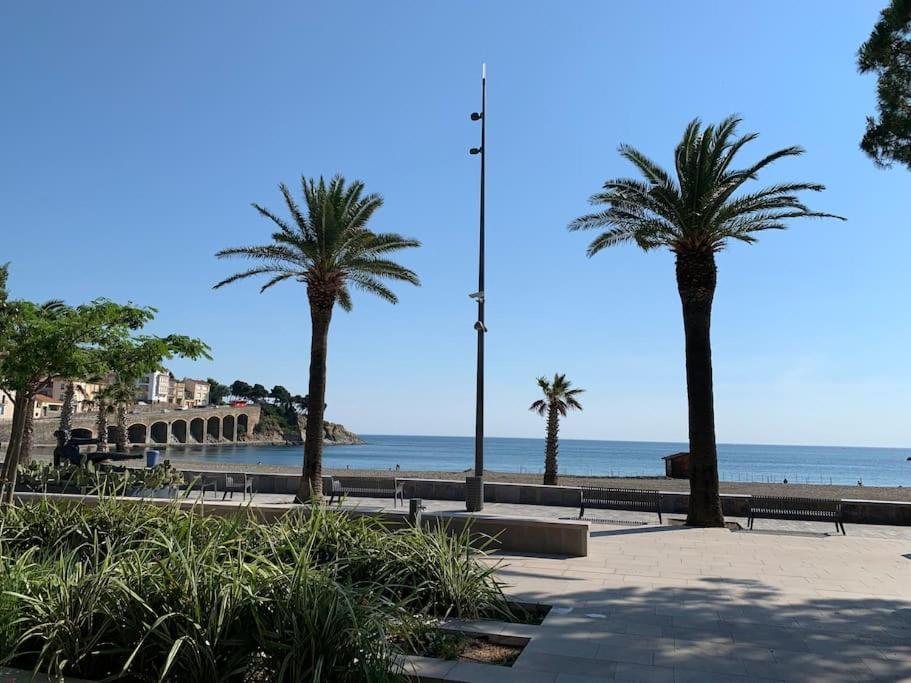 Superbe Appt Vue Mer Climatise بانيول سور مير المظهر الخارجي الصورة