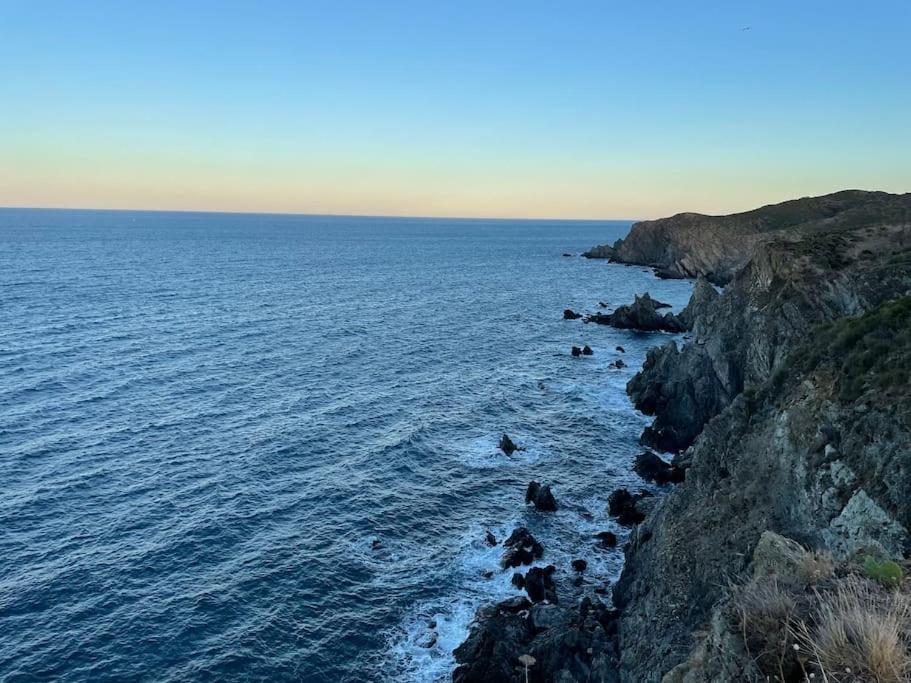 Superbe Appt Vue Mer Climatise بانيول سور مير المظهر الخارجي الصورة
