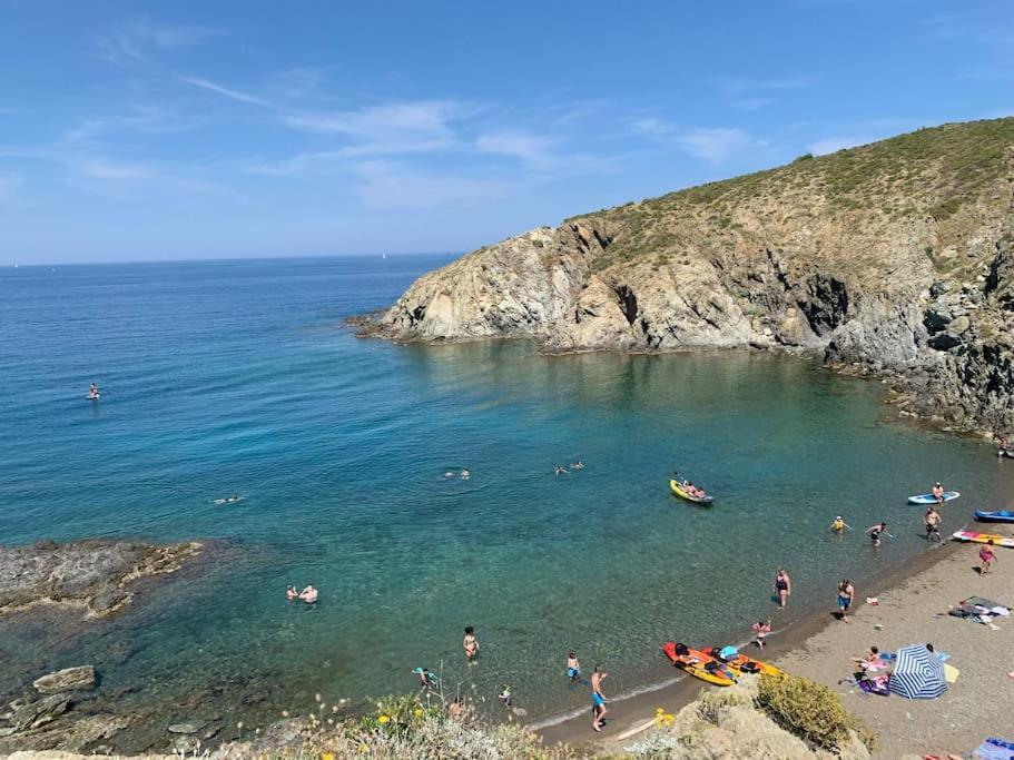 Superbe Appt Vue Mer Climatise بانيول سور مير المظهر الخارجي الصورة